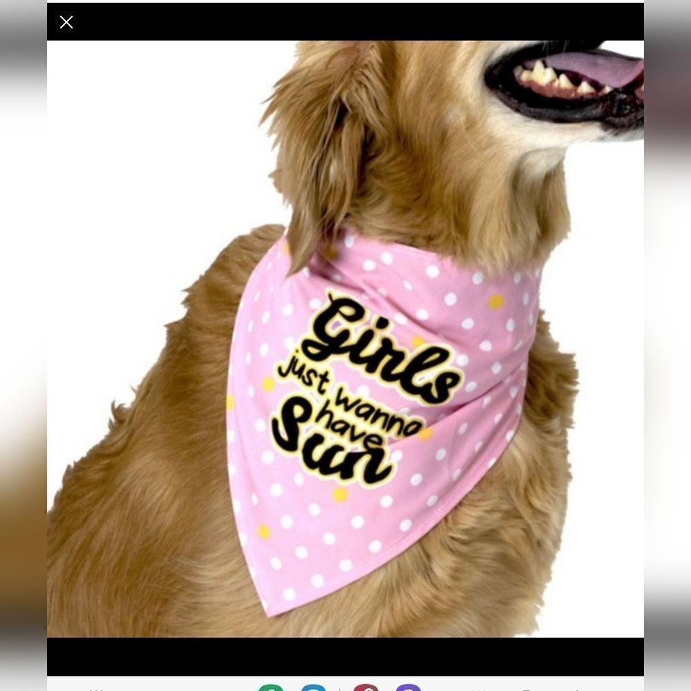 NEW! Dog Accessories Bows, flowers, and scarf